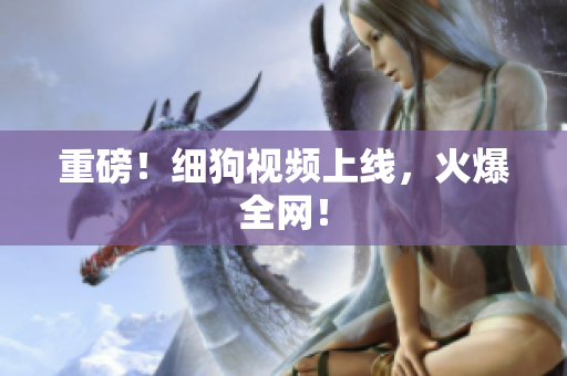 重磅！细狗视频上线，火爆全网！
