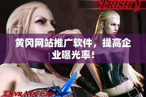 黄冈网站推广软件，提高企业曝光率！