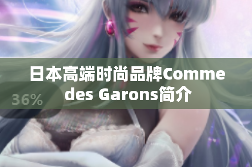 日本高端时尚品牌Comme des Garons简介