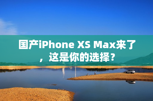 国产iPhone XS Max来了，这是你的选择？