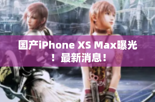 国产iPhone XS Max曝光！最新消息！