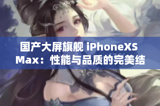 国产大屏旗舰 iPhoneXS Max：性能与品质的完美结合
