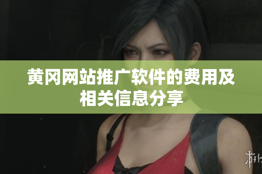 黄冈网站推广软件的费用及相关信息分享
