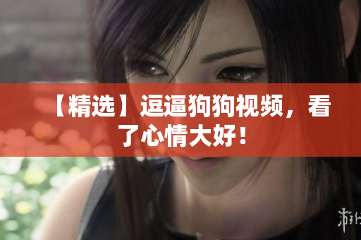 【精选】逗逼狗狗视频，看了心情大好！