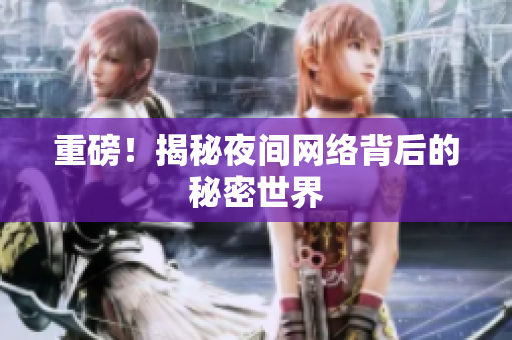 重磅！揭秘夜间网络背后的秘密世界