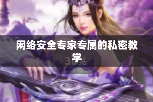 网络安全专家专属的私密教学
