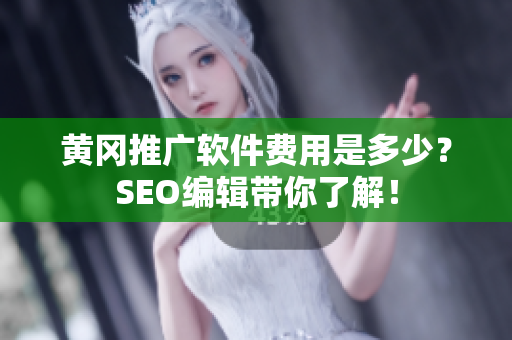 黄冈推广软件费用是多少？SEO编辑带你了解！