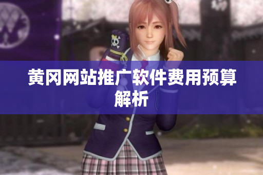 黄冈网站推广软件费用预算解析
