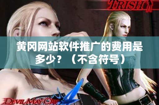 黄冈网站软件推广的费用是多少？（不含符号）