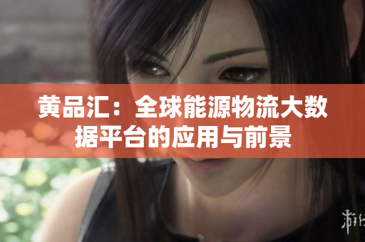 黄品汇：全球能源物流大数据平台的应用与前景