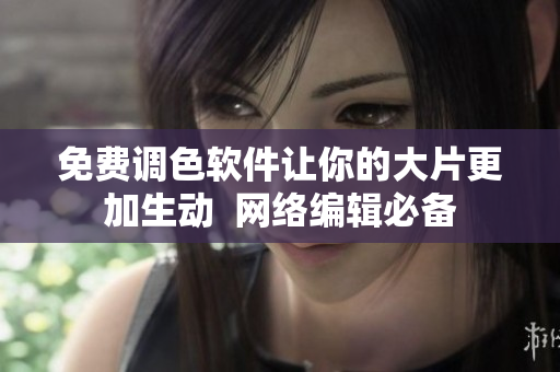 免费调色软件让你的大片更加生动  网络编辑必备