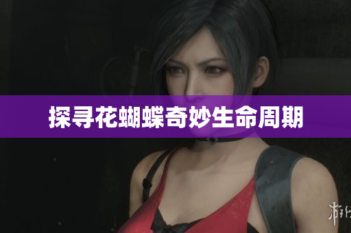 探寻花蝴蝶奇妙生命周期
