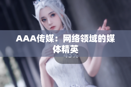 AAA传媒：网络领域的媒体精英