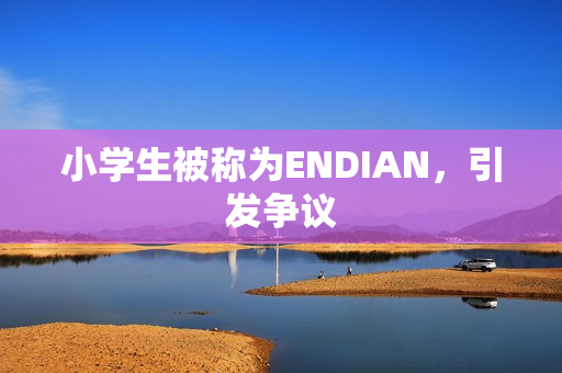 小学生被称为ENDIAN，引发争议