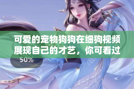 可爱的宠物狗狗在细狗视频展现自己的才艺，你可看过吗？