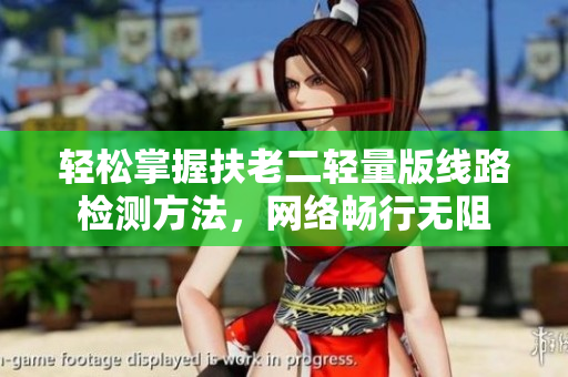 轻松掌握扶老二轻量版线路检测方法，网络畅行无阻