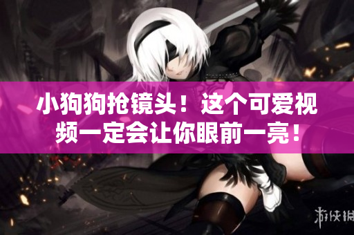 小狗狗抢镜头！这个可爱视频一定会让你眼前一亮！