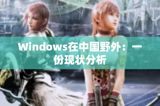 Windows在中国野外：一份现状分析