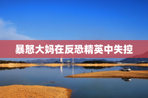 暴怒大妈在反恐精英中失控