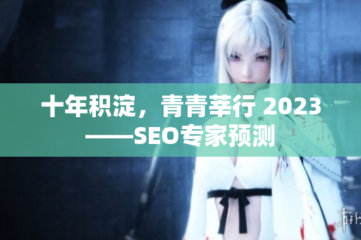 十年积淀，青青莘行 2023——SEO专家预测