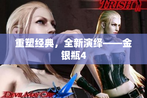 重塑经典，全新演绎——金银瓶4