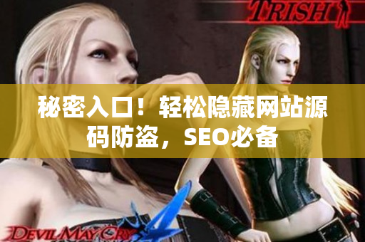 秘密入口！轻松隐藏网站源码防盗，SEO必备