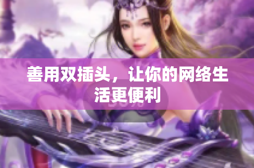 善用双插头，让你的网络生活更便利