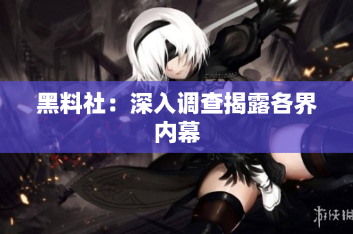 黑料社：深入调查揭露各界内幕