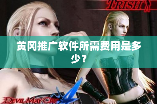 黄冈推广软件所需费用是多少？