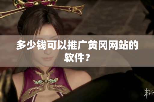 多少钱可以推广黄冈网站的软件？