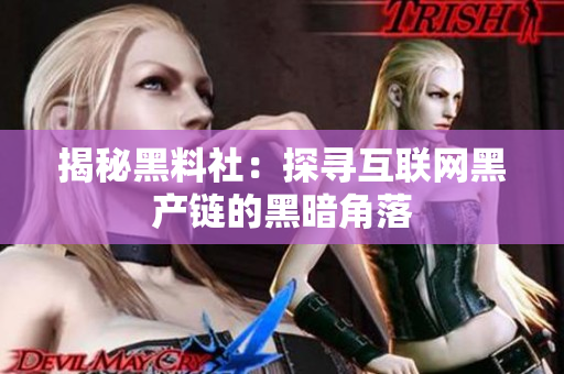 揭秘黑料社：探寻互联网黑产链的黑暗角落