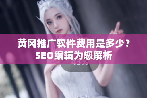 黄冈推广软件费用是多少？SEO编辑为您解析
