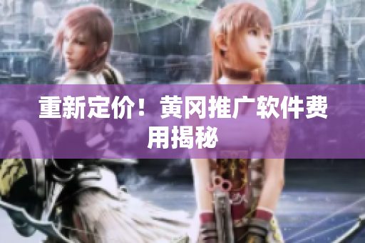 重新定价！黄冈推广软件费用揭秘