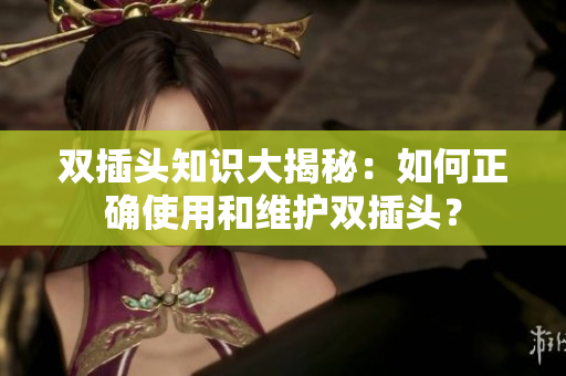 双插头知识大揭秘：如何正确使用和维护双插头？