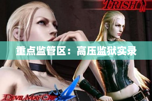 重点监管区：高压监狱实录