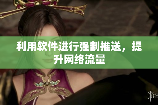 利用软件进行强制推送，提升网络流量