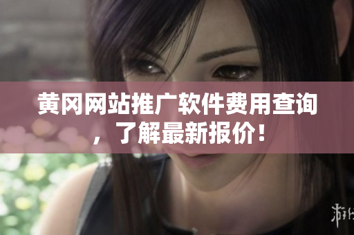 黄冈网站推广软件费用查询，了解最新报价！