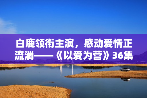 白鹿领衔主演，感动爱情正流淌——《以爱为营》36集在线观看