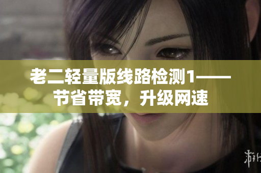 老二轻量版线路检测1——节省带宽，升级网速