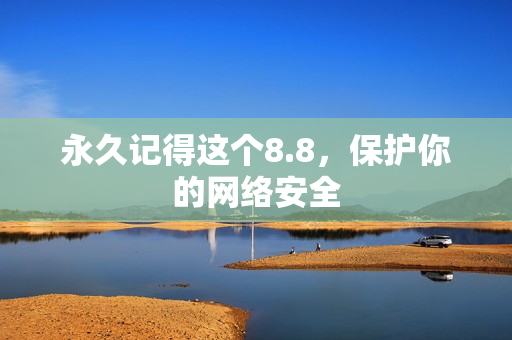 永久记得这个8.8，保护你的网络安全