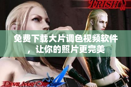 免费下载大片调色视频软件，让你的照片更完美