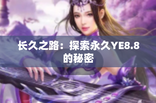长久之路：探索永久YE8.8的秘密