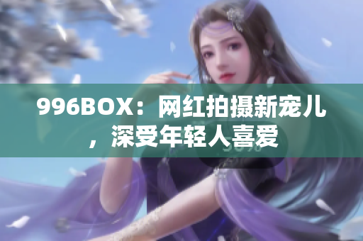 996BOX：网红拍摄新宠儿，深受年轻人喜爱