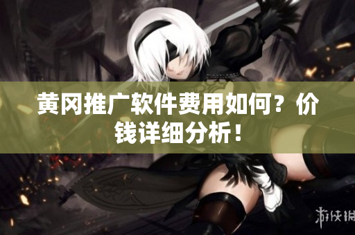 黄冈推广软件费用如何？价钱详细分析！