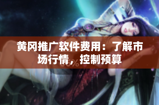 黄冈推广软件费用：了解市场行情，控制预算