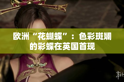欧洲“花蝴蝶”：色彩斑斓的彩蝶在英国首现