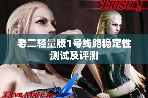 老二轻量版1号线路稳定性测试及评测