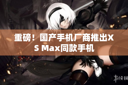 重磅！国产手机厂商推出XS Max同款手机
