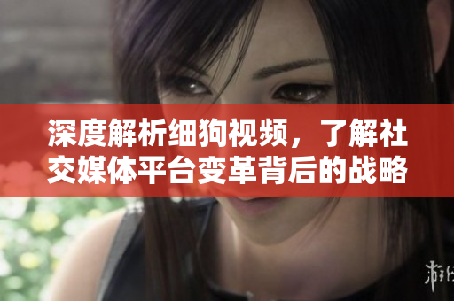 深度解析细狗视频，了解社交媒体平台变革背后的战略策划