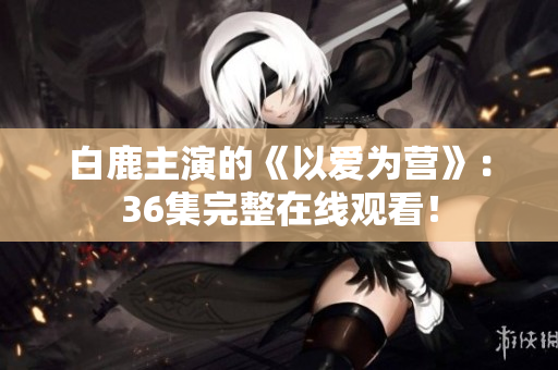 白鹿主演的《以爱为营》：36集完整在线观看！